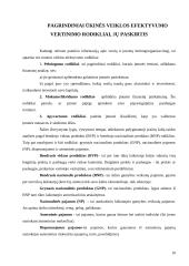 Verslo esmė, sėkmė ir atskaitomybė 10 puslapis