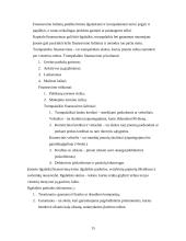 Verslo finansavimo šaltiniai: jų stipriosios pusės ir trūkumai bei pavojai 15 puslapis