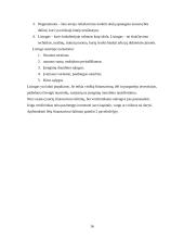 Verslo finansavimo šaltiniai: jų stipriosios pusės ir trūkumai bei pavojai 16 puslapis