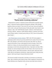 Verslo finansavimo šaltiniai: jų stipriosios pusės ir trūkumai bei pavojai 19 puslapis