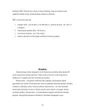 Verslo finansavimo šaltiniai: jų stipriosios pusės ir trūkumai bei pavojai 20 puslapis