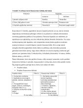 Verslo finansavimo šaltiniai: jų stipriosios pusės ir trūkumai bei pavojai 6 puslapis