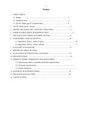 Verslo idėja: DUAB "Baltik garant" 2 puslapis