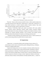 Verslo idėja: DUAB "Baltik garant" 16 puslapis