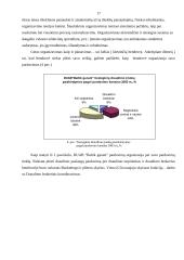 Verslo idėja: DUAB "Baltik garant" 17 puslapis