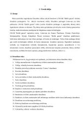 Verslo idėja: DUAB "Baltik garant" 3 puslapis