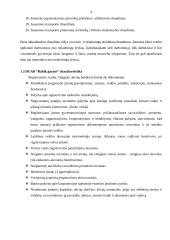 Verslo idėja: DUAB "Baltik garant" 4 puslapis