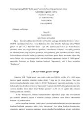Verslo idėja: DUAB "Baltik garant" 5 puslapis