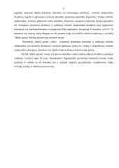 Verslo idėja: DUAB "Baltik garant" 6 puslapis