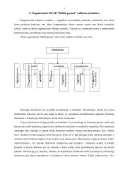 Verslo idėja: DUAB "Baltik garant" 7 puslapis