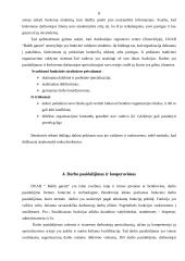 Verslo idėja: DUAB "Baltik garant" 8 puslapis