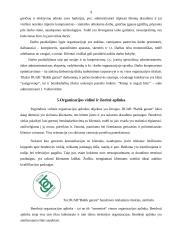 Verslo idėja: DUAB "Baltik garant" 9 puslapis