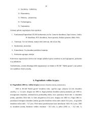 Verslo idėja: DUAB "Baltik garant" 10 puslapis