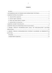 Verslo organizacijų veiklos diversifikavimas 2 puslapis