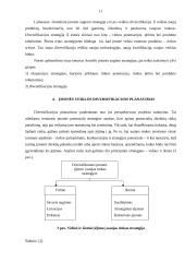 Verslo organizacijų veiklos diversifikavimas 11 puslapis