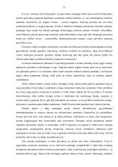 Verslo organizacijų veiklos diversifikavimas 12 puslapis