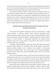 Verslo organizacijų veiklos diversifikavimas 13 puslapis