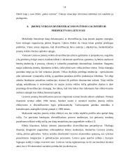 Verslo organizacijų veiklos diversifikavimas 14 puslapis