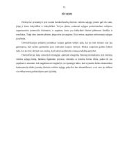 Verslo organizacijų veiklos diversifikavimas 15 puslapis