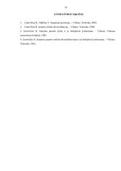 Verslo organizacijų veiklos diversifikavimas 16 puslapis