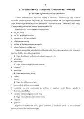 Verslo organizacijų veiklos diversifikavimas 4 puslapis