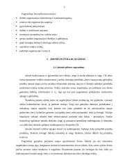 Verslo organizacijų veiklos diversifikavimas 5 puslapis