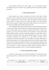 Verslo organizacijų veiklos diversifikavimas 6 puslapis