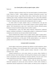 Verslo organizacijų veiklos diversifikavimas 7 puslapis