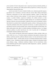 Verslo organizacijų veiklos diversifikavimas 8 puslapis