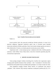 Verslo organizacijų veiklos diversifikavimas 9 puslapis