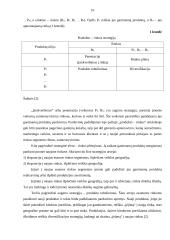 Verslo organizacijų veiklos diversifikavimas 10 puslapis