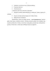 Verslo planas: baldų gamyba UAB "Trys pušaitės" 13 puslapis