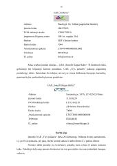 Verslo planas: baldų gamyba UAB "Trys pušaitės" 16 puslapis