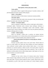 Verslo planas: baldų gamyba UAB "Trys pušaitės" 8 puslapis