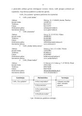 Verslo planas: baldų gamyba UAB "Trys pušaitės" 10 puslapis