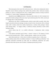 Verslo planas: IĮ "Eksploatacijos darbų brigada" 2 puslapis