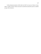 Verslo planas: IĮ "Eksploatacijos darbų brigada" 15 puslapis