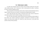 Verslo planas: IĮ "Eksploatacijos darbų brigada" 19 puslapis