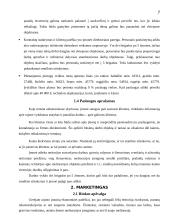 Verslo planas: IĮ "Eksploatacijos darbų brigada" 5 puslapis