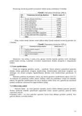 Verslo planas: kaimo sodyba "Natalija" 11 puslapis