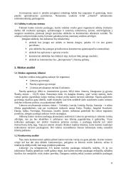 Verslo planas: kaimo sodyba "Natalija" 8 puslapis