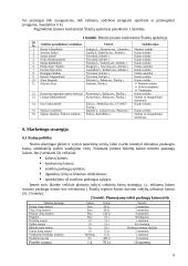 Verslo planas: kaimo sodyba "Natalija" 9 puslapis