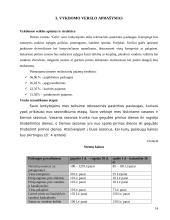 Verslo planas: kempingas UAB "Gėla" 13 puslapis