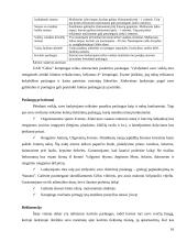 Verslo planas: kempingas UAB "Gėla" 15 puslapis