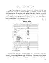 Verslo planas: kempingas UAB "Gėla" 19 puslapis