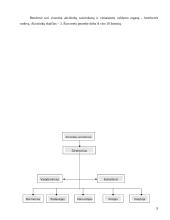 Verslo planas: kempingas UAB "Gėla" 8 puslapis