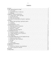 Verslo planas: maisto prekių parduotuvė UAB "Liepa" 2 puslapis