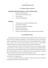 Verslo planas: maisto prekių parduotuvė UAB "Liepa" 12 puslapis