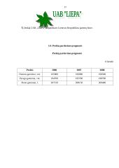 Verslo planas: maisto prekių parduotuvė UAB "Liepa" 17 puslapis