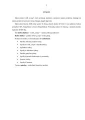 Verslo planas: maisto prekių parduotuvė UAB "Liepa" 3 puslapis